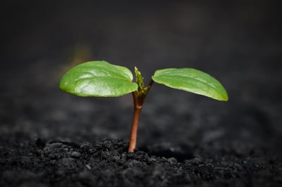 Premios Nacionales de Medioambiente (Edición 2025)